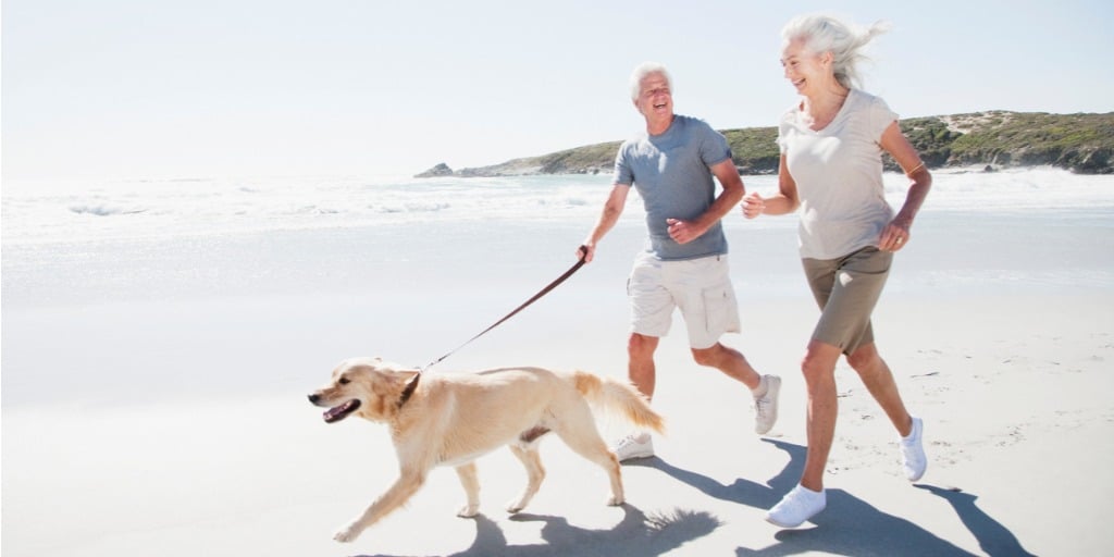 Senior couple running on the beach with a dog