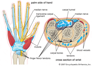 Wrist structure