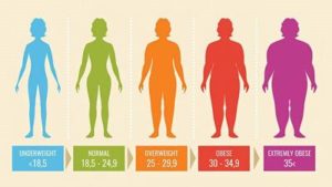 Healthy weight chart